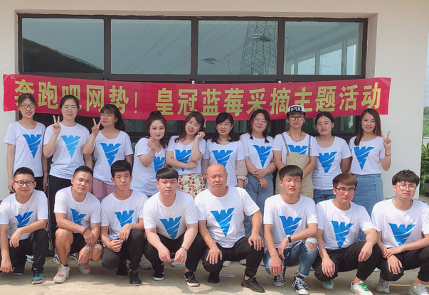 【奔跑吧網(wǎng)勢(shì)！】藍(lán)莓采摘主題團(tuán)建活動(dòng)